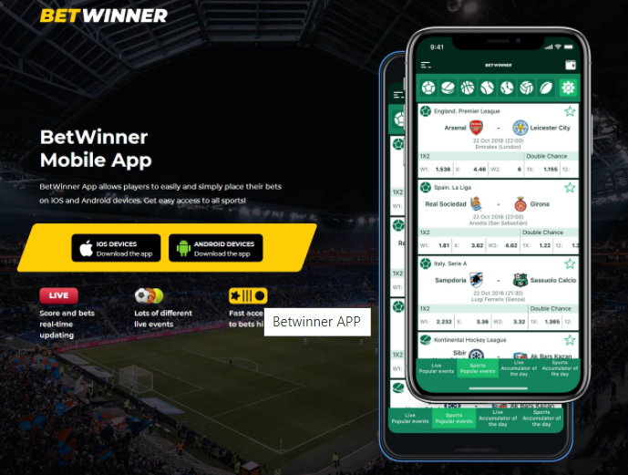 Understanding BetWinner Seychelles Apk