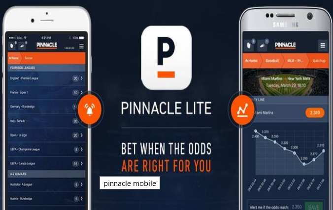 Pinnacle Mobile app